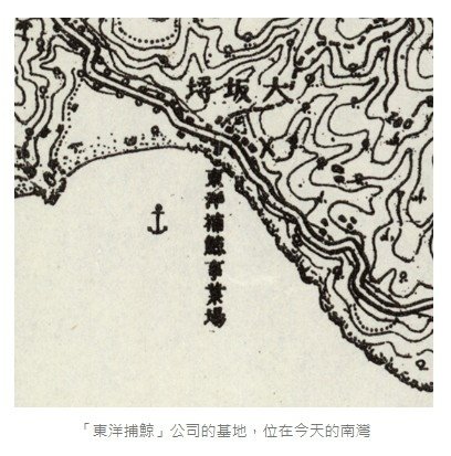 台灣的捕鯨歷史1920-1942-當時的台灣總督府或許是具永