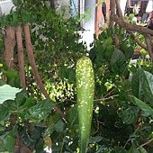 20130407_153703
