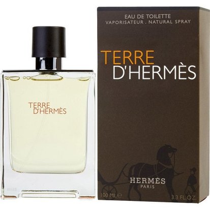 terre-d-hermes-de-hermes-eau-de-toilette-spray-100-ml-pour-homme