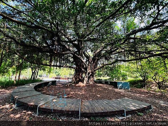 ＊【台南開箱】超酷的城市森林「巴克禮紀念公園」荒野公園，你我