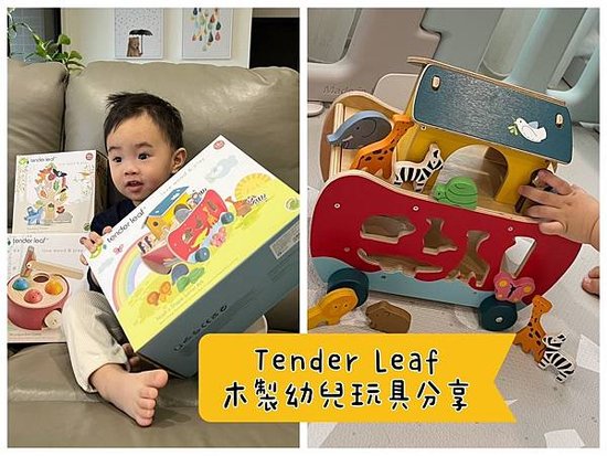 [育] 幼兒木製玩具 – 美國Tender Leaf 精美安