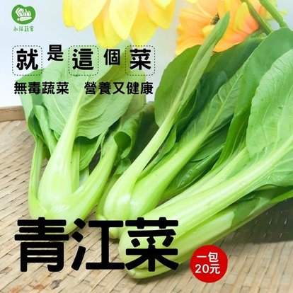 永萍蔬食自家菜園無毒蔬菜－青江菜