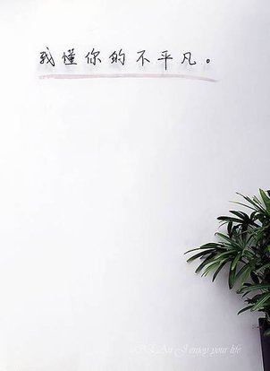 東館牛肉麵-台北文青牛肉麵-紅燒湯頭清爽不油膩，特選老饕牛頰