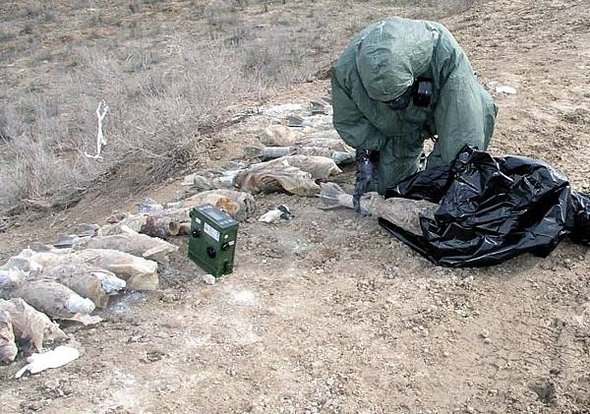 danish-soldier-examines-mortar-shells