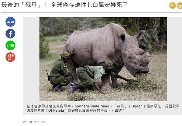 多元成家和代理孕母+台灣每年有將近二千七百個孩子被收養+在討