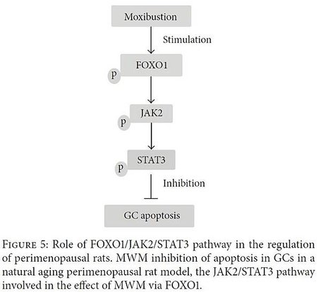 Moxibustion.jpg