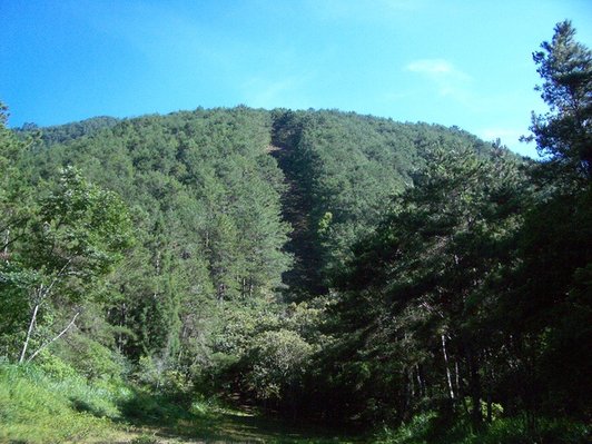 照片故事(十八)~那一年多次去的大小劍山。