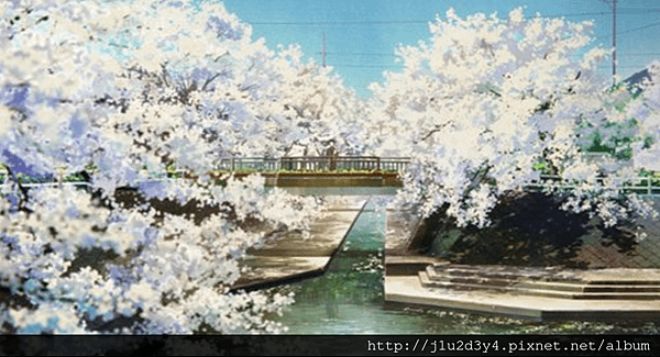 聲之形櫻花.png