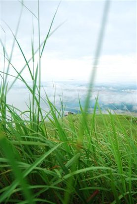 broga hill (85) (Small).JPG