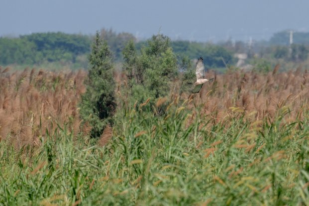 00-85E_5521.jpg