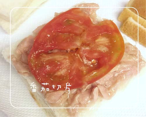 #野餐 #食譜 #料理 #手作 #三明治