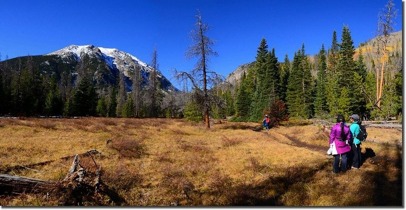 Buffalo Mountain (L) and Red Peak East Ridge (R) taken from the meadow 1