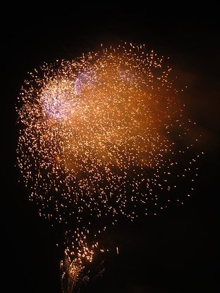 IMG_2353.JPG