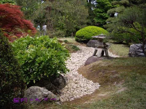 a中院11