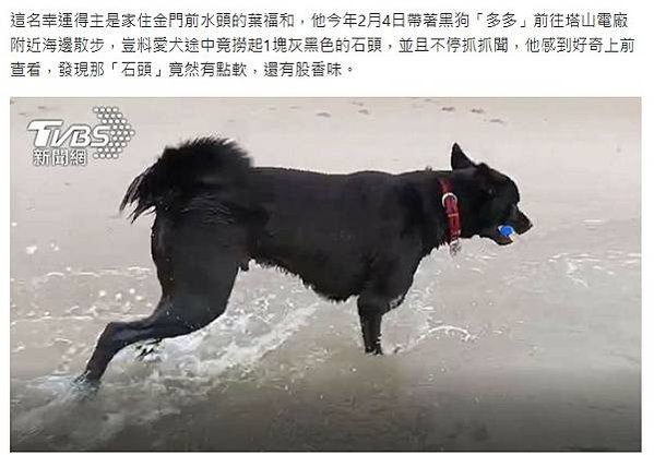 蘭嶼有民眾撿到一顆龍涎香重量約4公斤，拿去給人估價有600萬