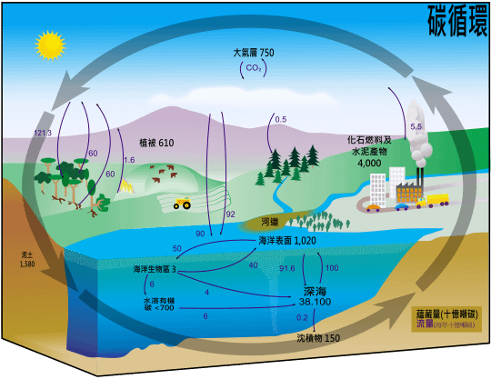 淨零排放-淨零碳排/碳價碳費碳稅/台灣每人每年平均碳排放量為