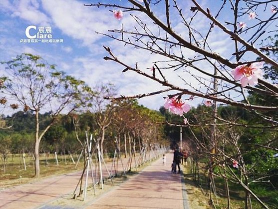 1080210🌸原臺南水道-淨水池區_櫻花步道.jpg