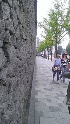 IMAG1332.jpg