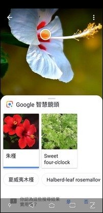 利用Google智慧鏡頭以人工智慧辦識物件