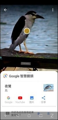 利用Google智慧鏡頭以人工智慧辦識物件