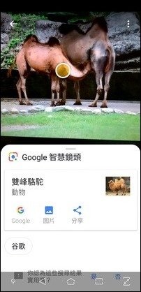 利用Google智慧鏡頭以人工智慧辦識物件