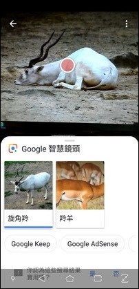 利用Google智慧鏡頭以人工智慧辦識物件