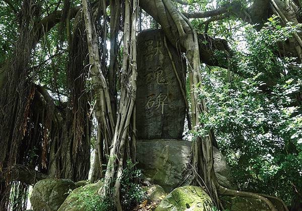 畜魂碑，也稱獸魂碑，是日本「動物慰靈碑」的其中一種形式，多用