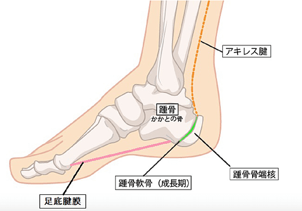 螢幕快照 2021-01-18 07.50.20