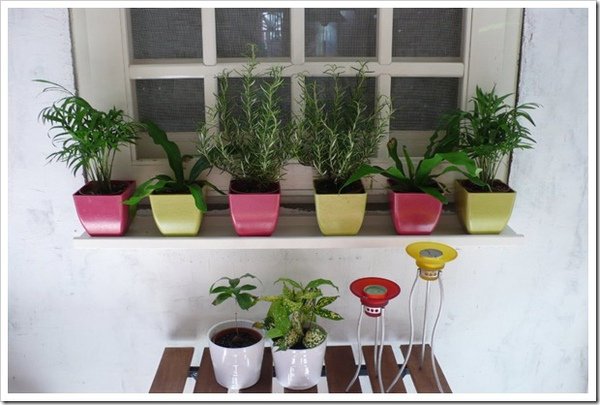 Backyard Garden (5)