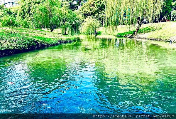 ＊【台南開箱】超酷的城市森林「巴克禮紀念公園」荒野公園，你我