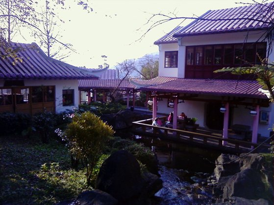 坪林人文茶鄉祥泰茶行,推薦一日遊行程旅遊茶葉博物館,北宜公路雪山隧道在地經營百年老店 (文山包種茶,東方美人茶,鐵觀音,苦茶油,茶糖,老街)13
