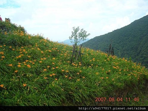 DSCN0706.JPG