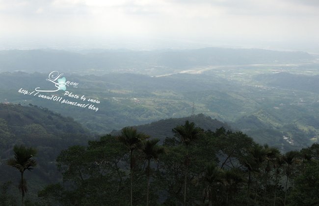 沿途風景