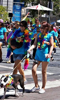 DSC07105