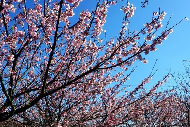 平菁街42巷