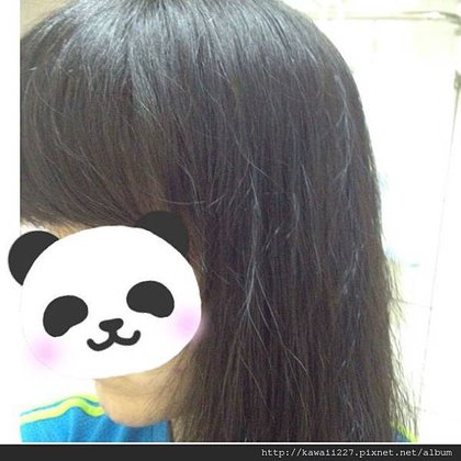 照片 2