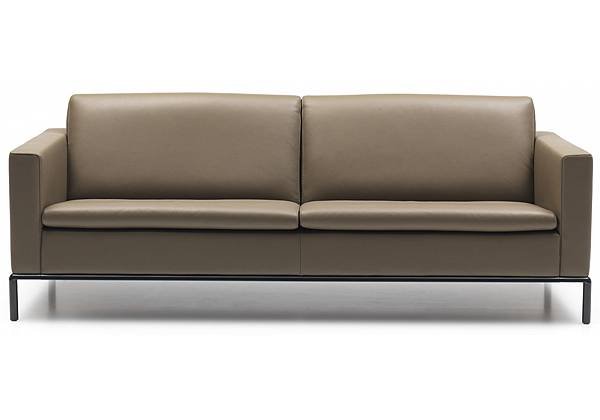 de sede DS-4 sofa_4