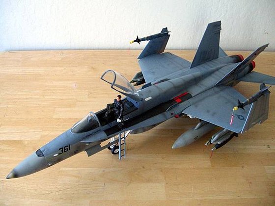 Hornet01.JPG