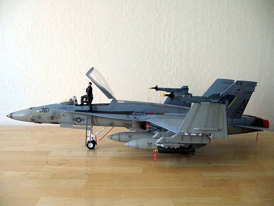 Hornet05.JPG