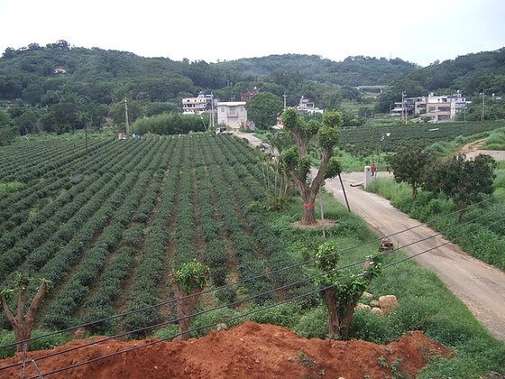 DSCF5811.JPG