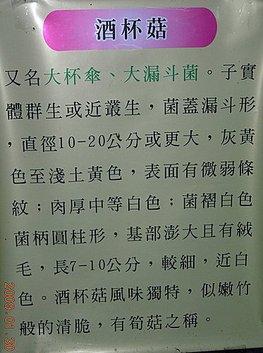 台中新社安妮公主花園+大甲鎮瀾宮