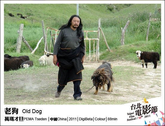 《老狗》Old Dog