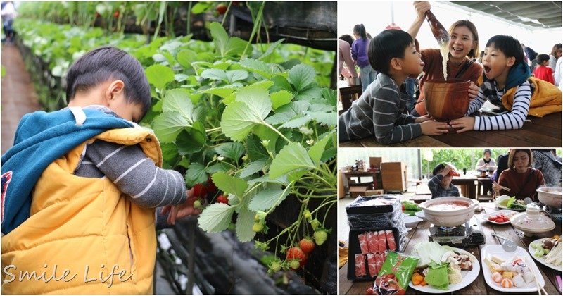 ▌親子景點▌關西高平農場 溫室有機草莓、番茄、搗麻糬、擂茶、愛玉diy。吃養生番茄火鍋