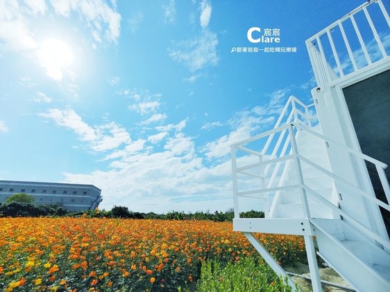 冰點小白貨櫃屋.冰點花海秘境.冰點空調冷氣.2023台南走春景點.台南山上景點推薦14.jpg