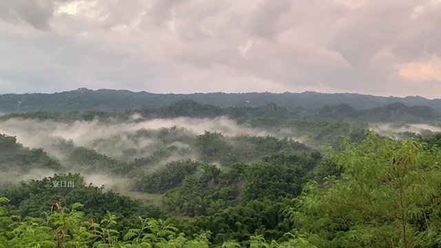 二寮日出雲海