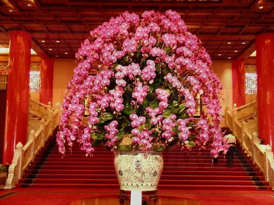 orchids_Grand Hotel Lobby.jpg