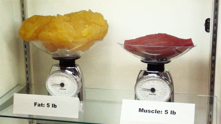 MICOOL-S冷凍溶脂效果冷凍溶脂價錢冷凍減脂心得冷凍溶脂推薦冷凍溶脂ptt冷凍溶脂原理冷凍溶脂術後瘦肚子的方法快速瘦肚子運動瘦肚子按摩快速瘦小腹運動瘦肚子飲食瘦肚子0.jpg