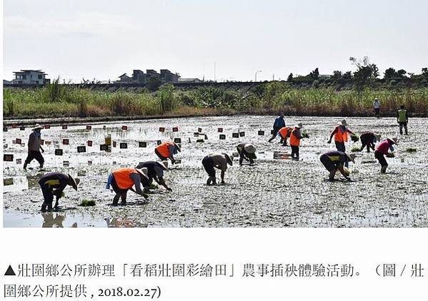 彩繪稻田/百年浮圳加持　伯朗大道、天堂路列文化資產+ 201