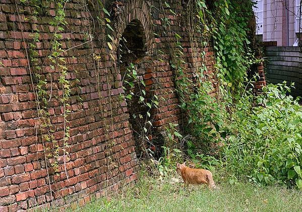 高雄大寮共益磚窯廠遺址八卦窯&amp;瑞榮磚窯廠遺址目仔窯-歷史建築