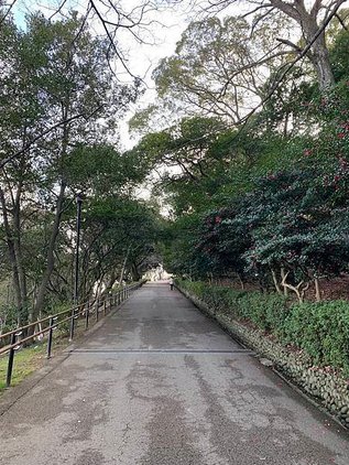 ［四國自駕遊］吃吃喝喝輕鬆遊